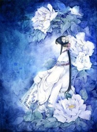 幻想三国狂澜曲