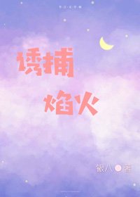 誘捕焰火