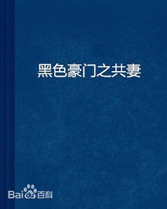 黑色豪门之共妻